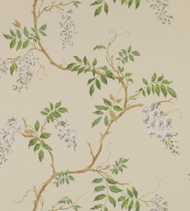 Alderney Wallpaper - Cream - Colefax & Fowler