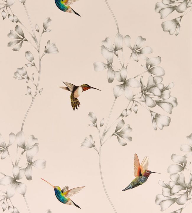 Amazilia Wallpaper - Powder/Pearl - HTEW112606 - Harlequin