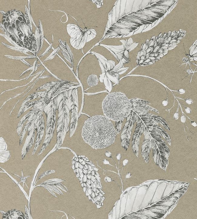 Amborella Wallpaper - Pebble - HGAT111222 - Harlequin