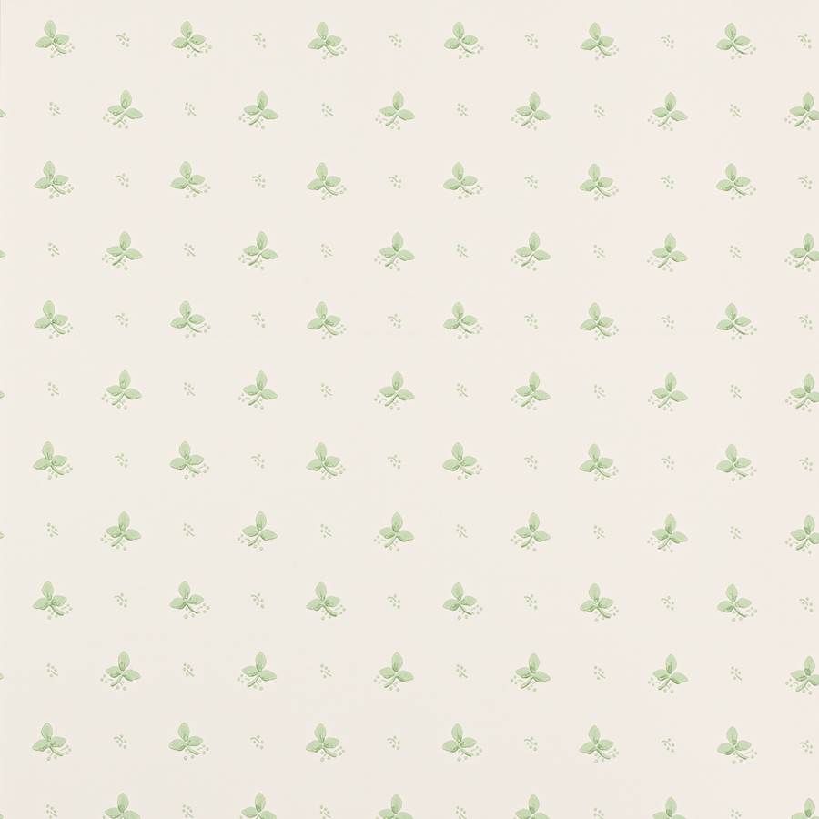 Ashling Wallpaper - Green - Colefax & Fowler