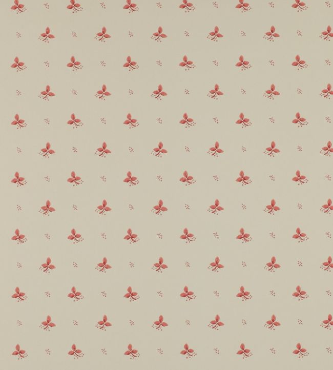 Ashling Wallpaper - Pink - Colefax & Fowler