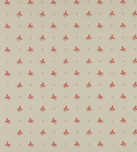Ashling Wallpaper - Pink - Colefax & Fowler