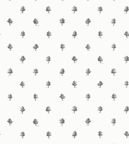 Ashton Wallpaper - Black and White - AT57876 - Anna French