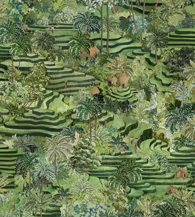 Rice Terrace Max Wallpaper - Green 