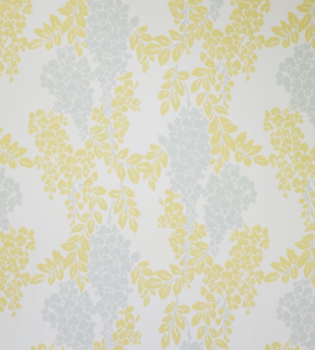 Wisteria Wallpaper - Yellow