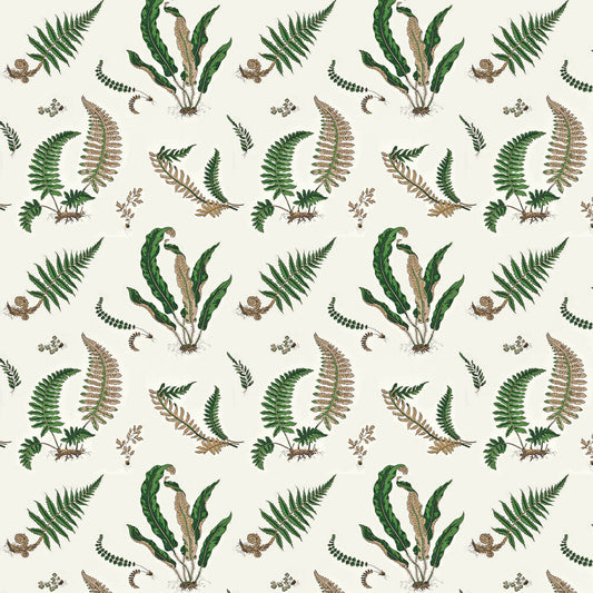 Ferns Wallpaper