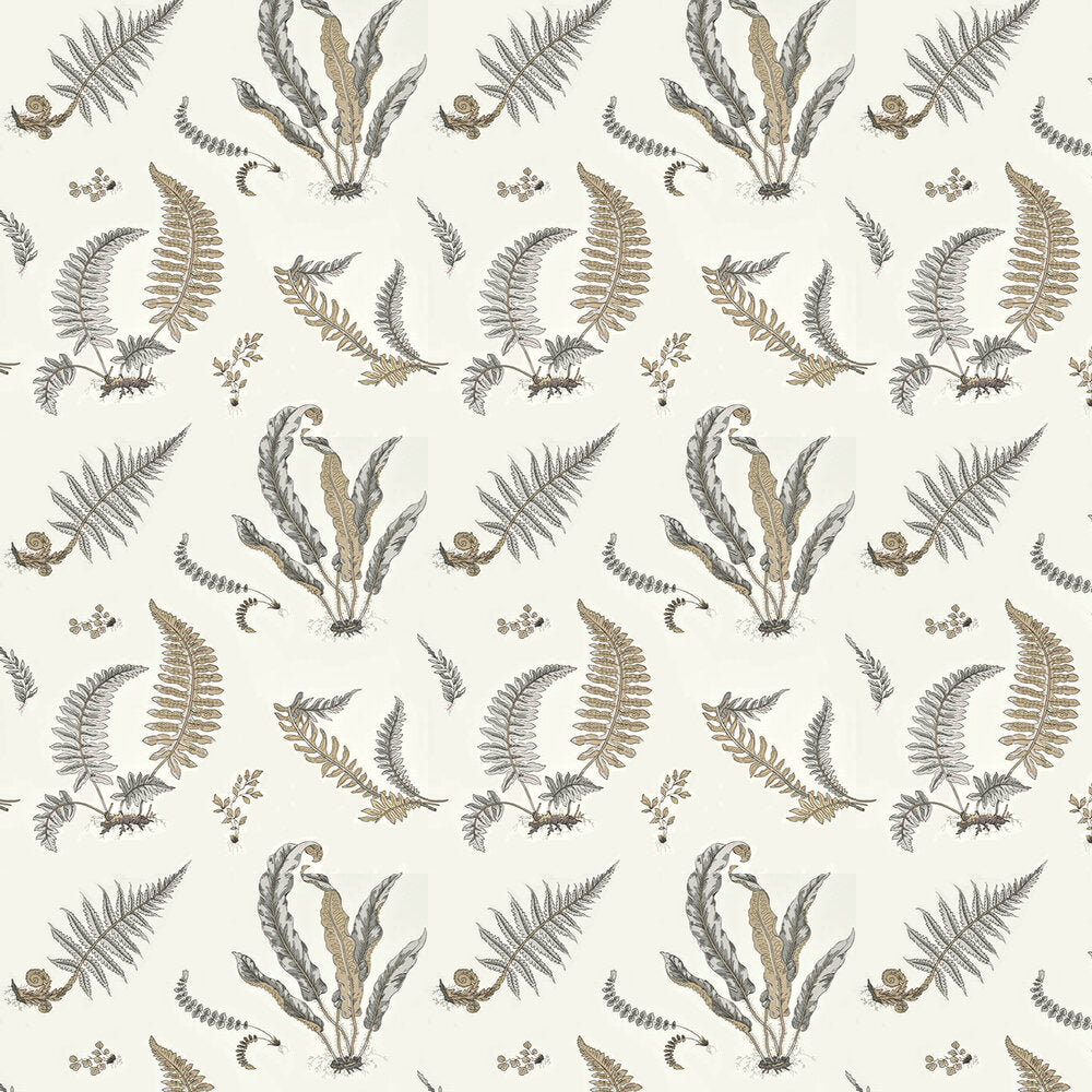 Ferns Wallpaper