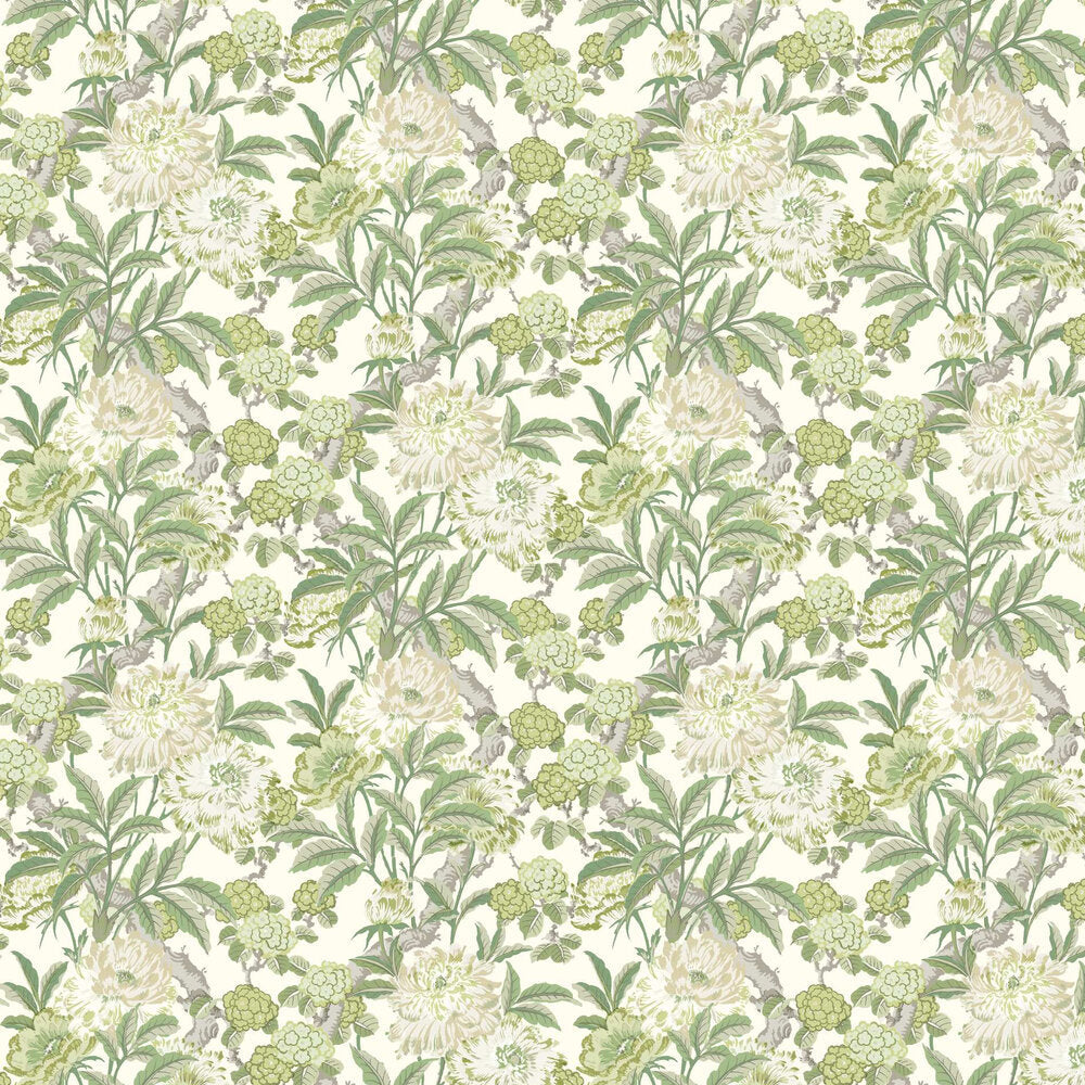 Summer Peony Wallpaper