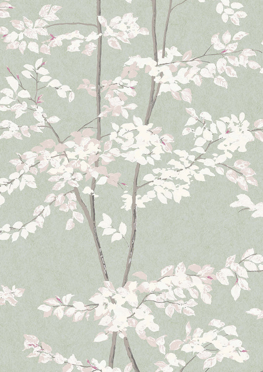 Beech Wallpaper - Jade