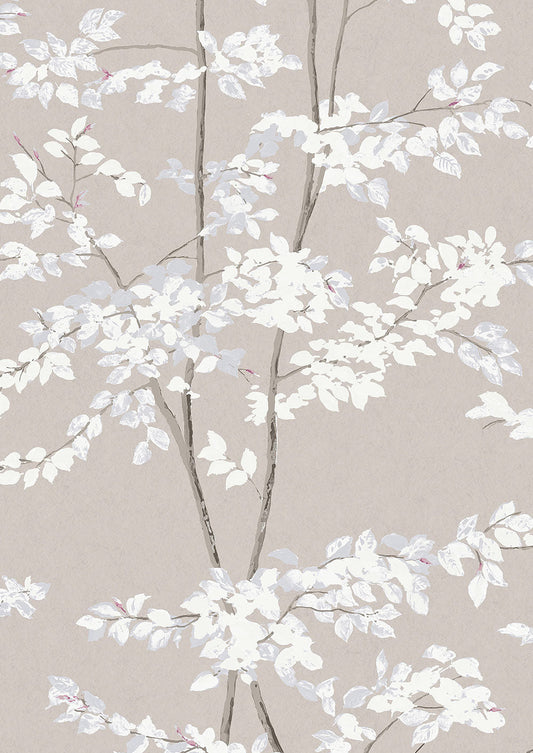 Beech Wallpaper - Linen