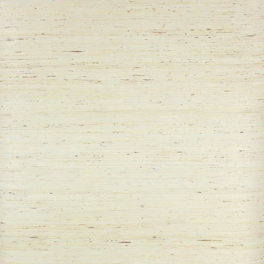 Belize Wallpaper - Pale Aqua - Colefax & Fowler