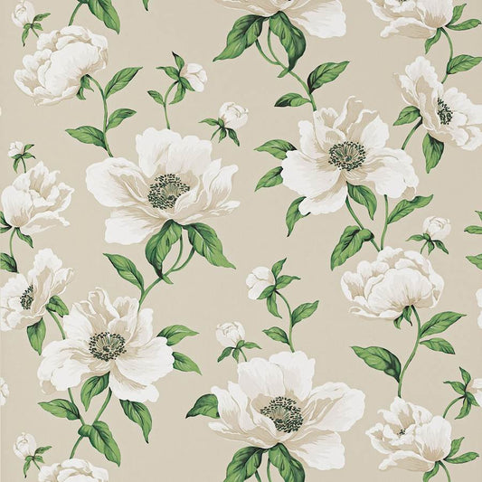 Bianca Wallpaper - Nacre - 03118-01 - Manuel Canovas