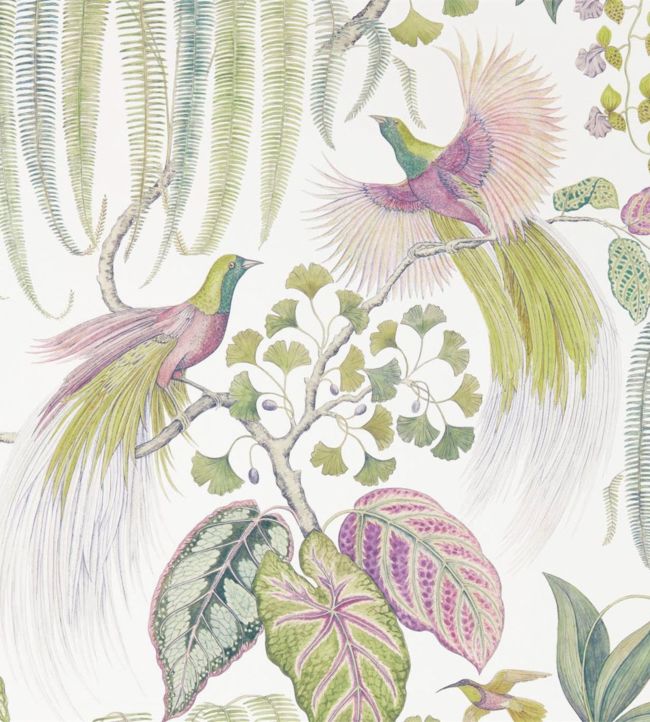 Bird Of Paradise Wallpaper - Orchid - DGLW216654 - Sanderson