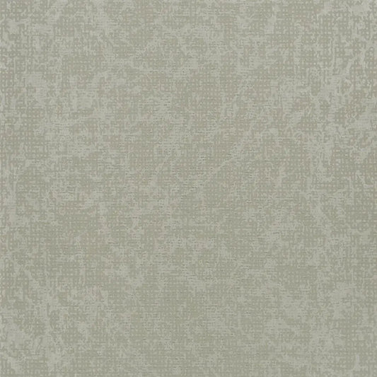 Boratti Wallpaper - Birch - PDG682/01 - Designers Guild