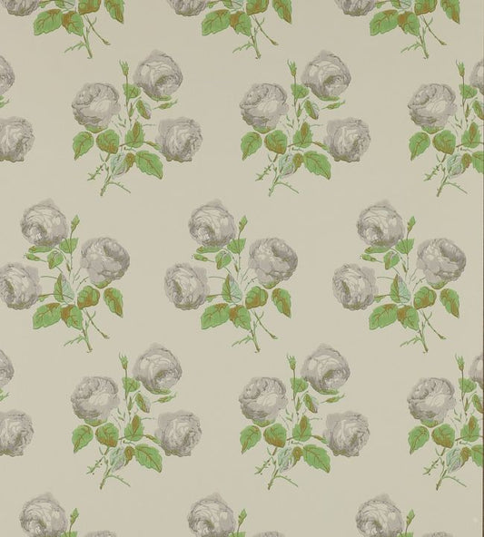 Bowood Wallpaper - Grey/Green - Colefax & Fowler