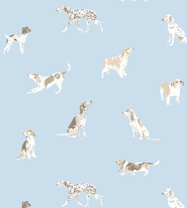 Buddy Wallpaper - Blue - AT24602 - Anna French