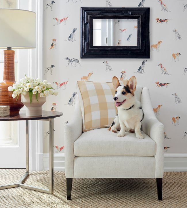 Buddy Wallpaper - Multi - AT24600 - Anna French