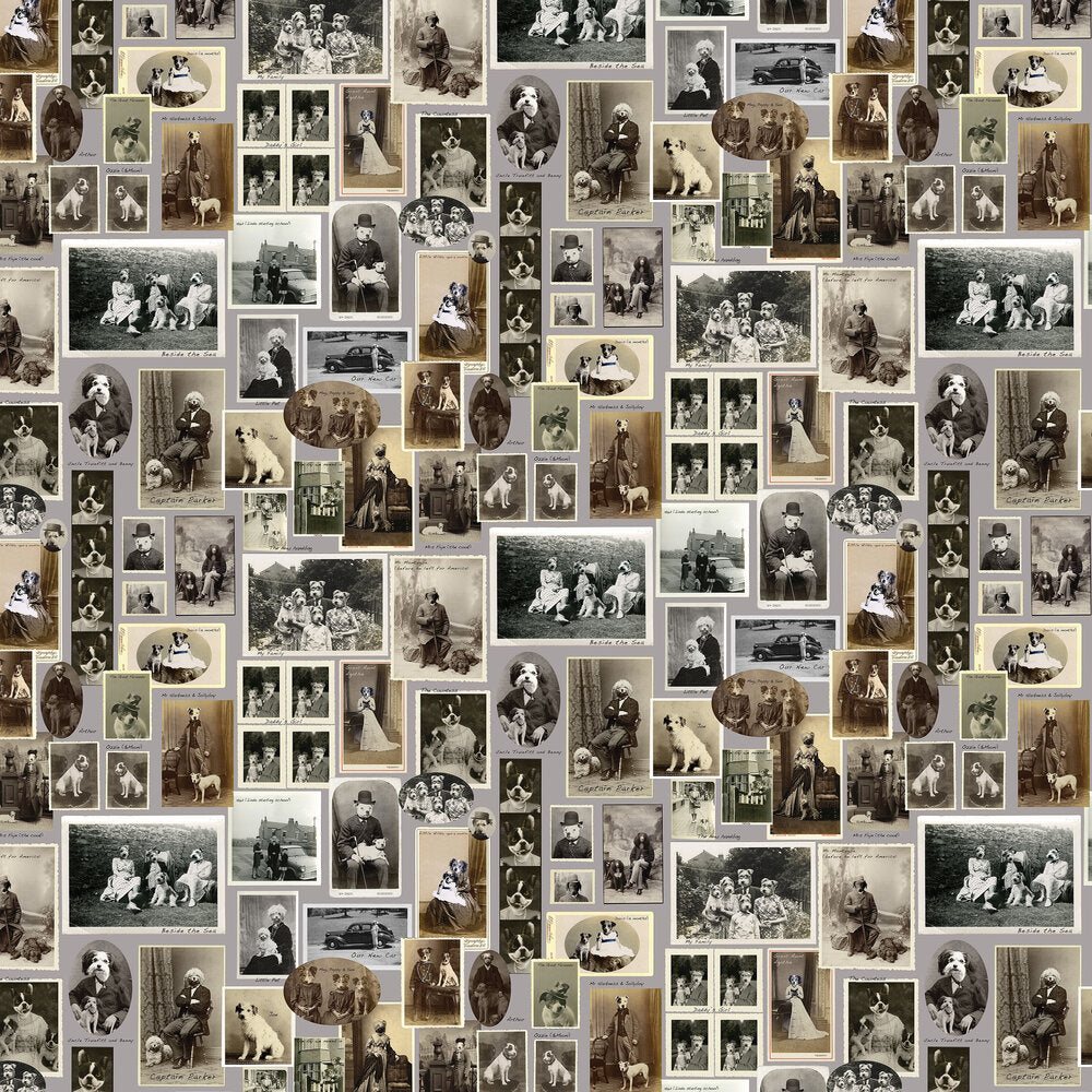 Jollyboy & Friends Wallpaper - Grey - The Graduate Collection