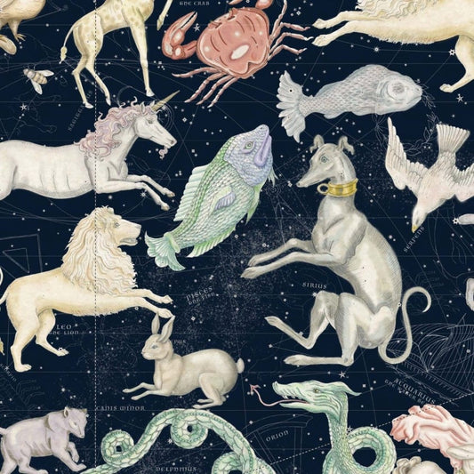 COSMOS Wallpaper - Midnight - House of Hackney