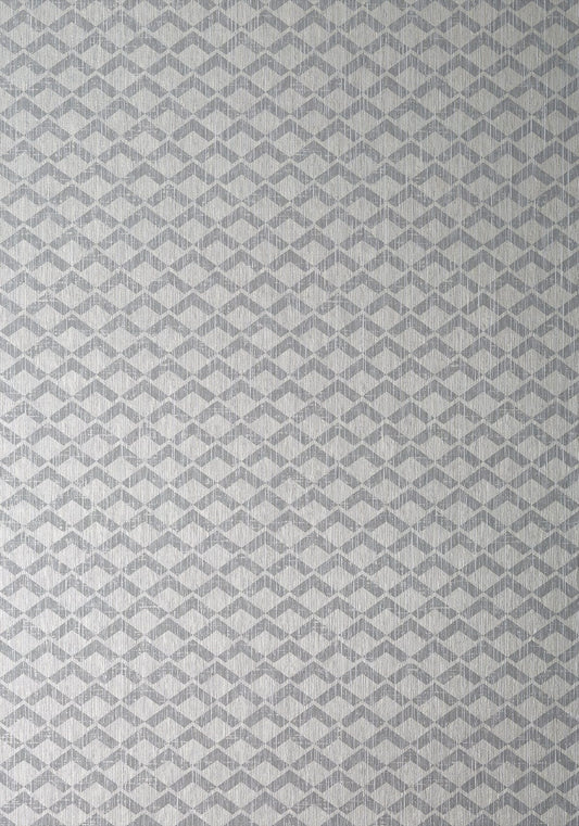 Cashiers Wallpaper - Grey on Metallic Silver - AT79110 - Anna French