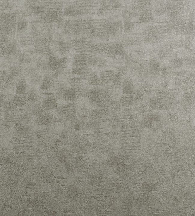 Chinchilla Wallpaper - Gray