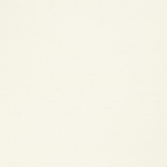 Cholla Sisal Wallpaper - Off White - AT34100 - Anna French
