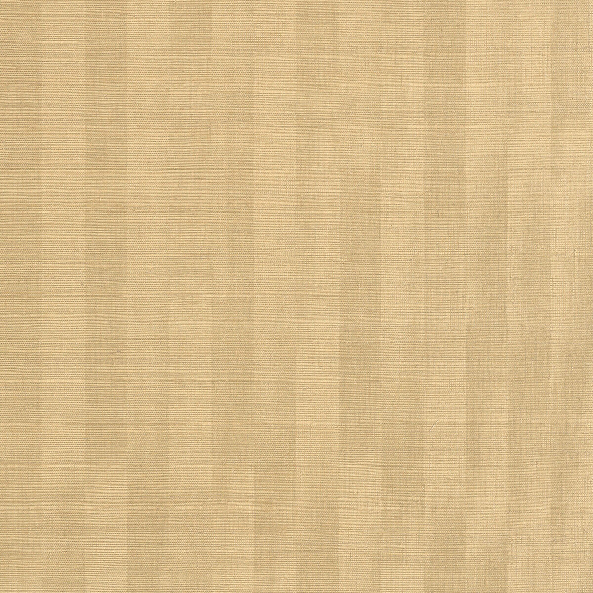Cholla Sisal Wallpaper - Sand - AT34101 - Anna French
