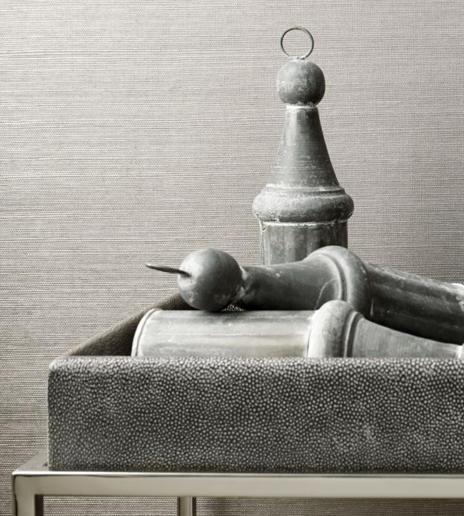 Cholla Sisal Wallpaper - Taupe - AT34102 - Anna French