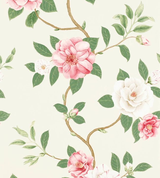 Christabel Wallpaper - Coral/Ivory - DVOY213374 - Sanderson