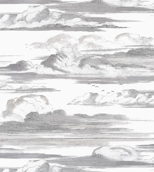 Cielo Wallpaper - Black and White - AT57872 - Anna French