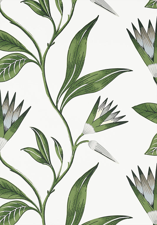 Cleo Vine Wallpaper - Green and White - AT9622 - Anna French