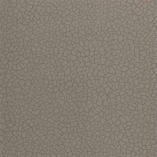 Cracked Earth Wallpaper - Gobi - ZSEI312834 - Zoffany