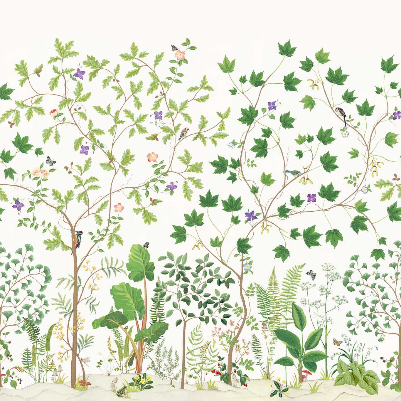Sycamore And Oak Botanical Green Wallpaper