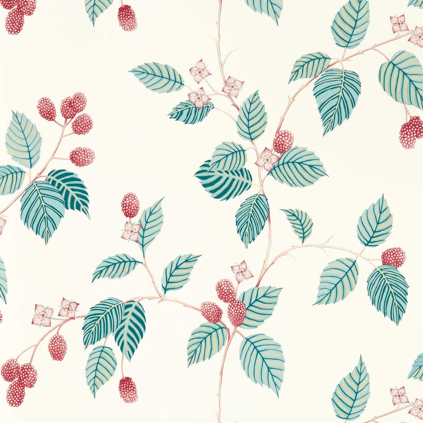 Rubus Raspberry Wallpaper