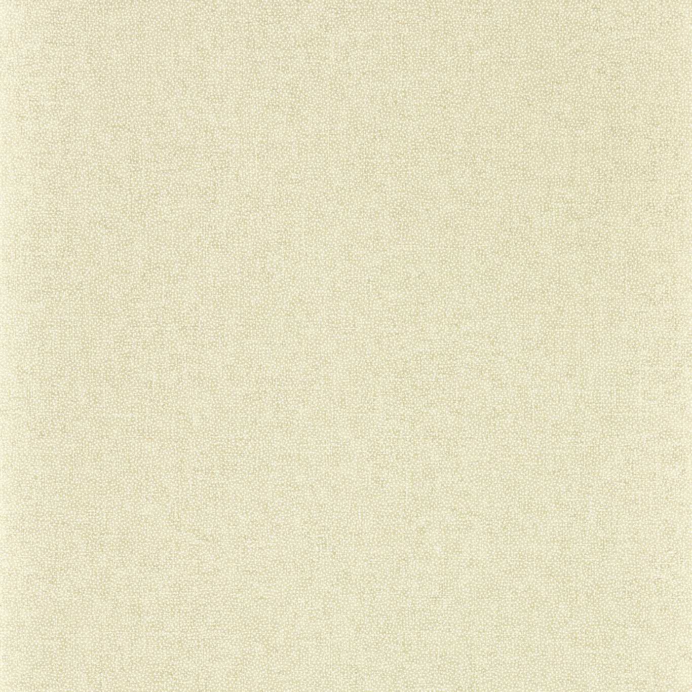 Sessile Plain Birch Wallpaper