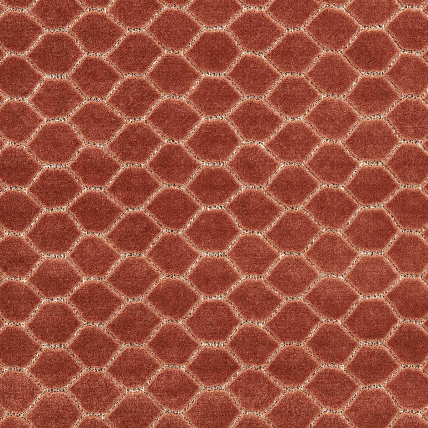 Faraday Velvet Sandstone Fabric - Red - Sanderson
