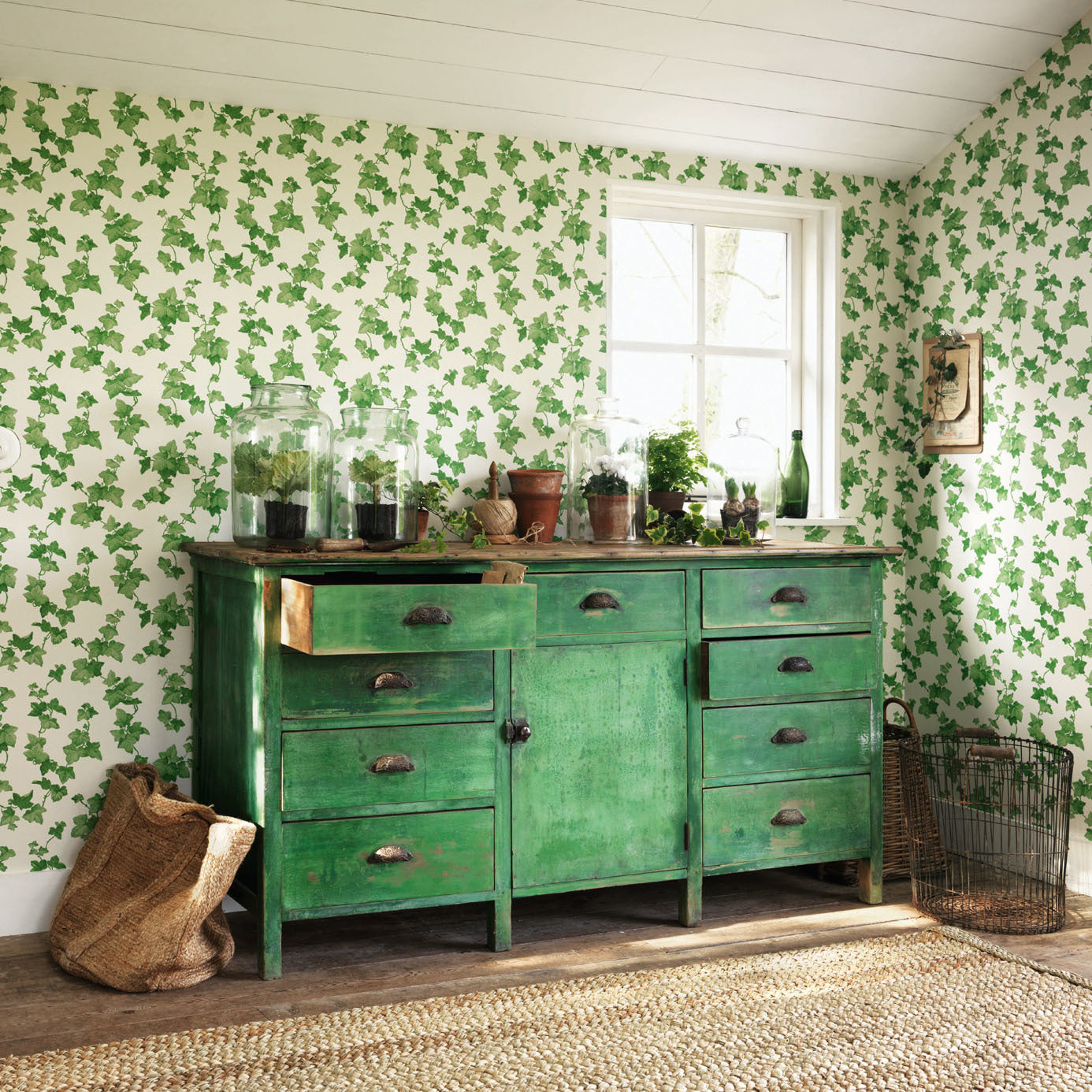 Hedera Room Wallpaper  - Green