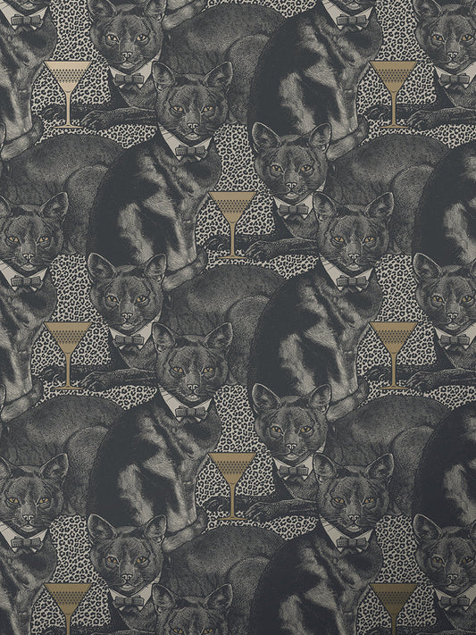 Cat-titude Wallpaper