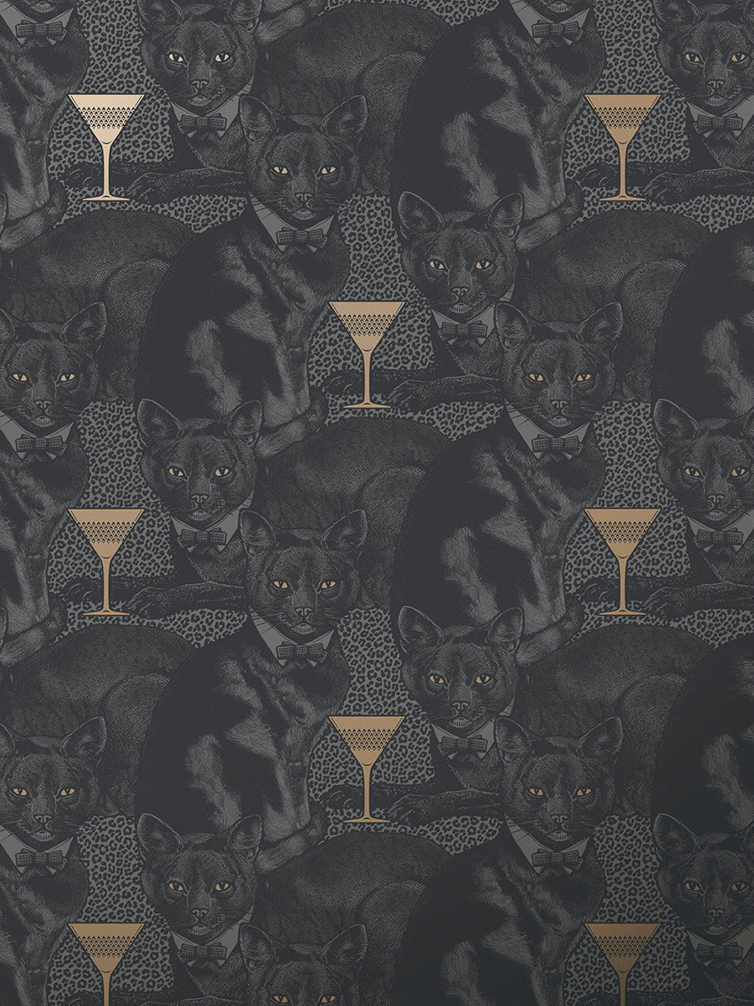 Cat-titude Wallpaper