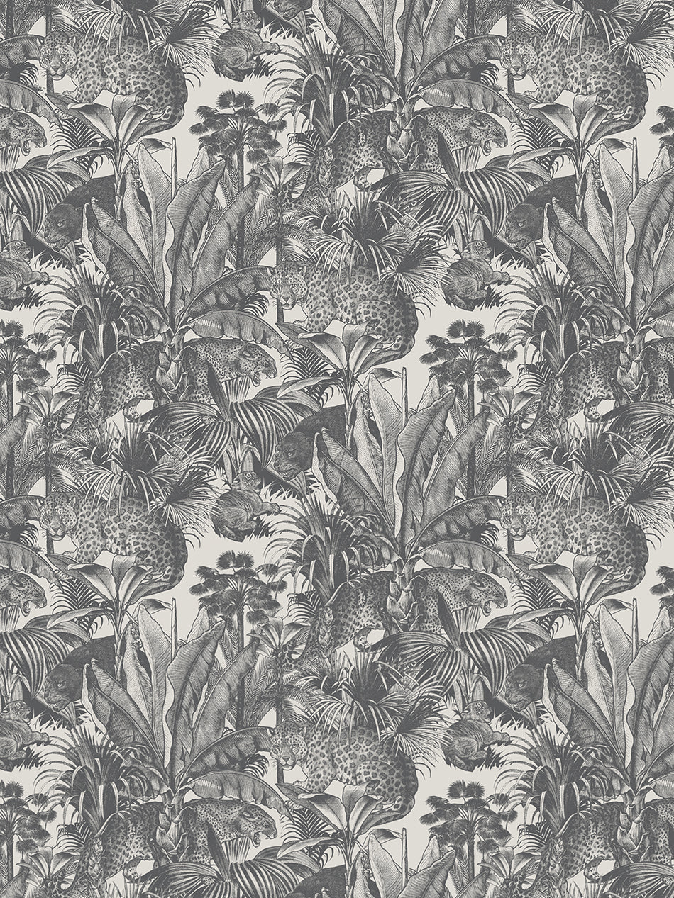 Faunacation Wallpaper