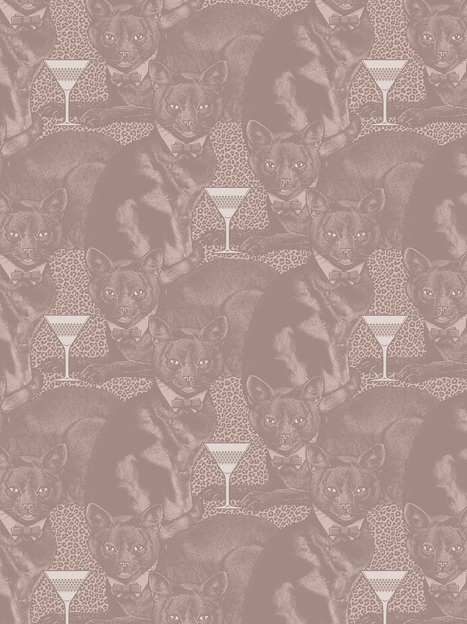 Cat-titude Wallpaper