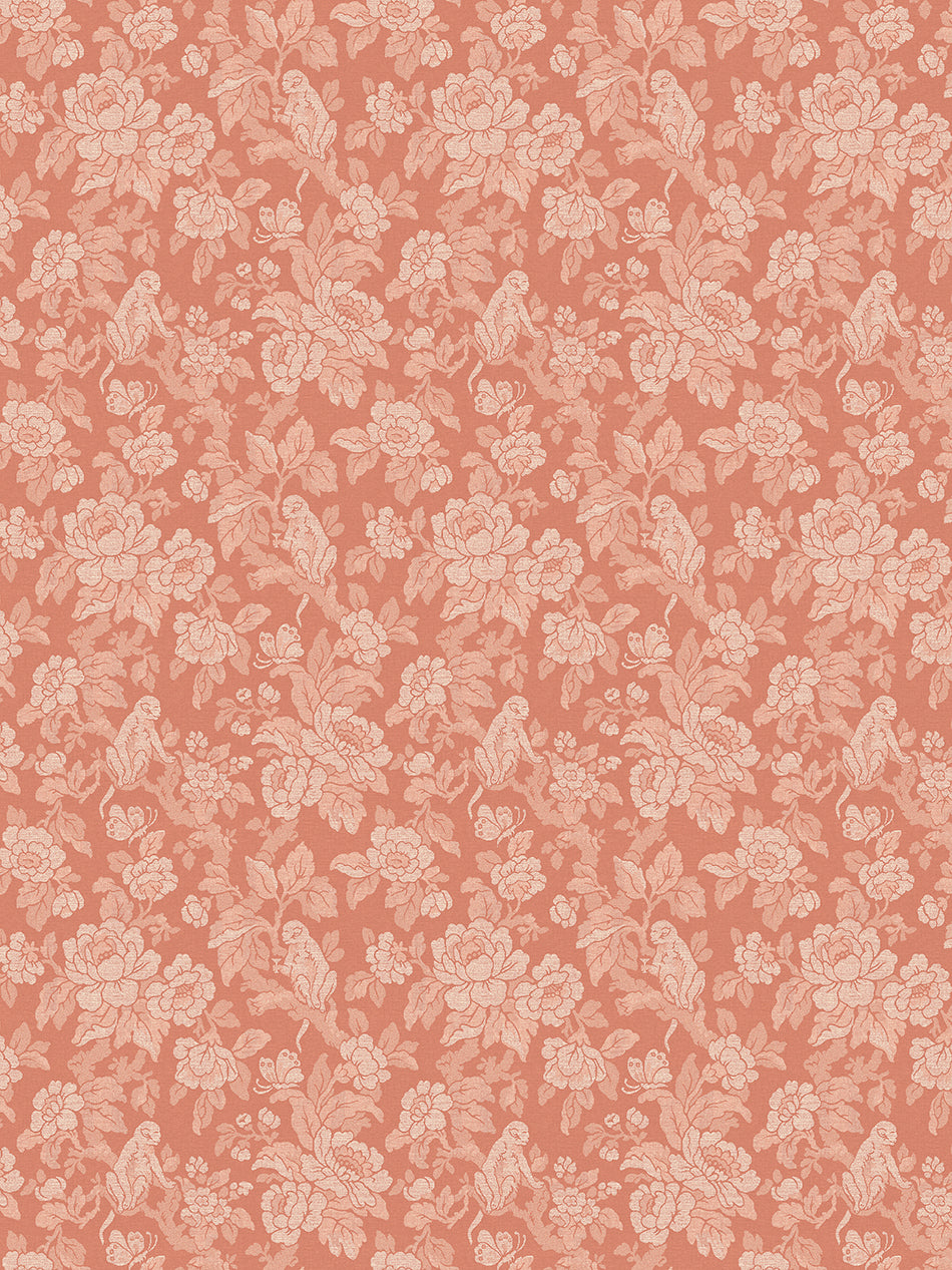 Drunken Monkey Wallpaper