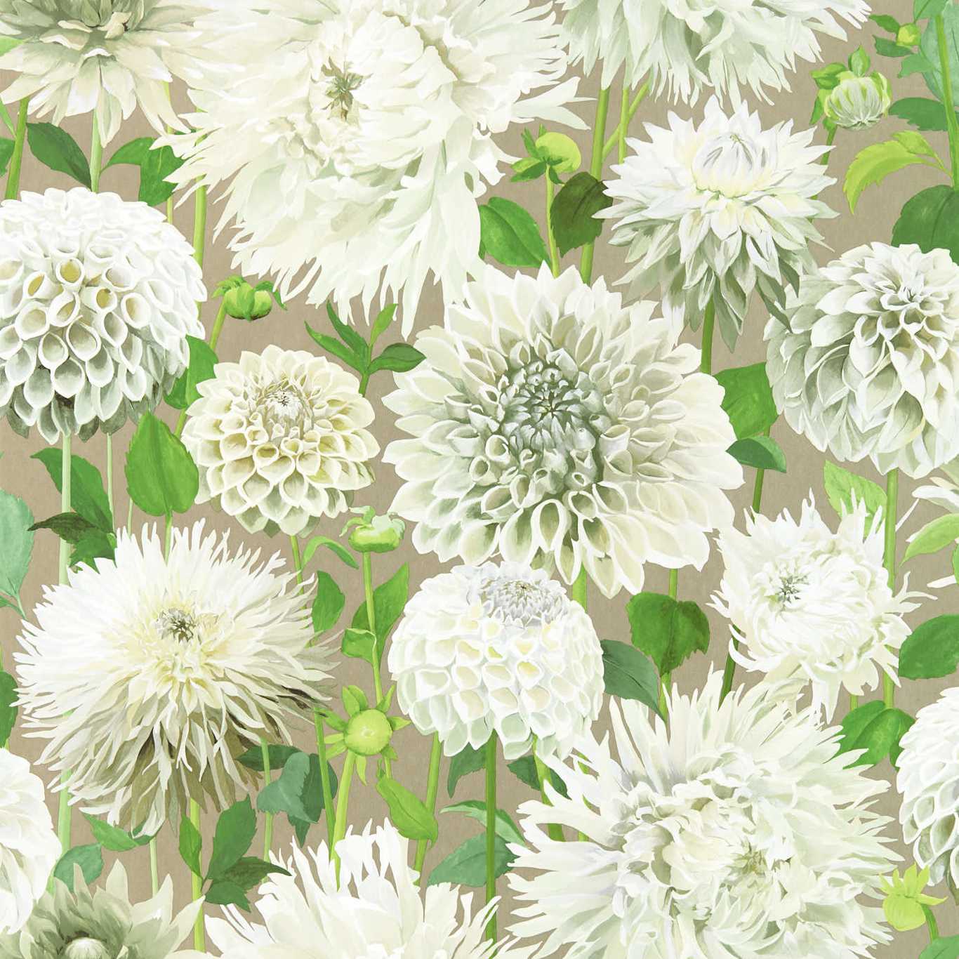 Dahlia Wallpaper - Sail Cloth/Meadow/Gilver - HQN2112844 - Harlequin
