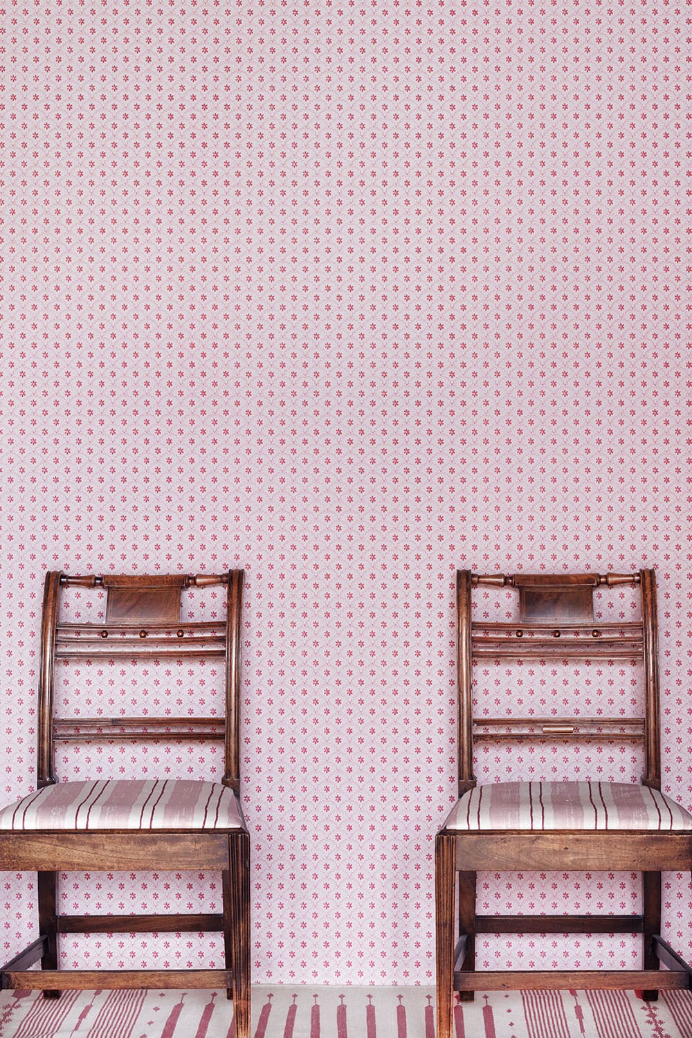 Daisy Scallops Wallpaper - Red / Pink - BG3000202 - Barneby Gates