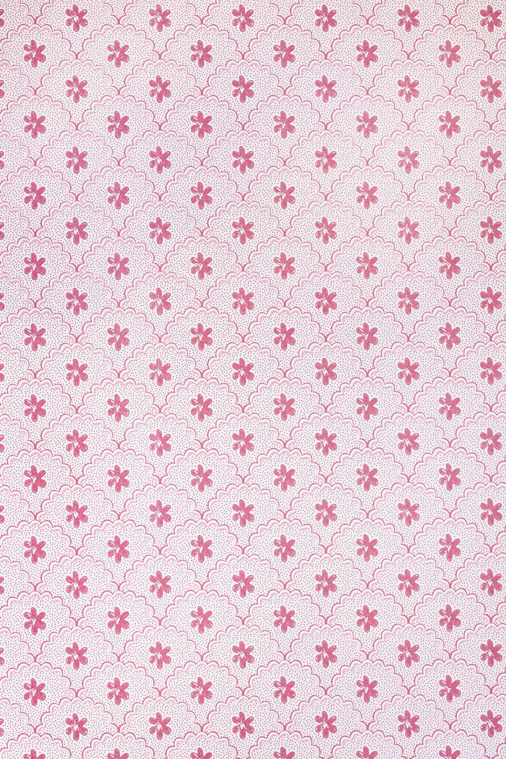 Daisy Scallops Wallpaper - Red / Pink - BG3000202 - Barneby Gates