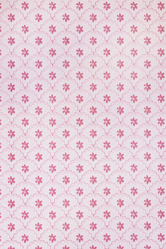 Daisy Scallops Wallpaper - Red / Pink - BG3000202 - Barneby Gates