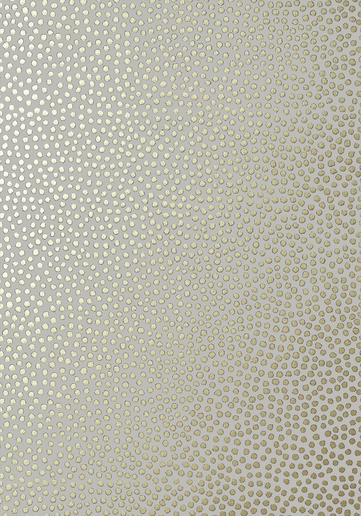 Davis Dot Wallpaper - Metallic Gold on Pewter - AT79164 - Anna French