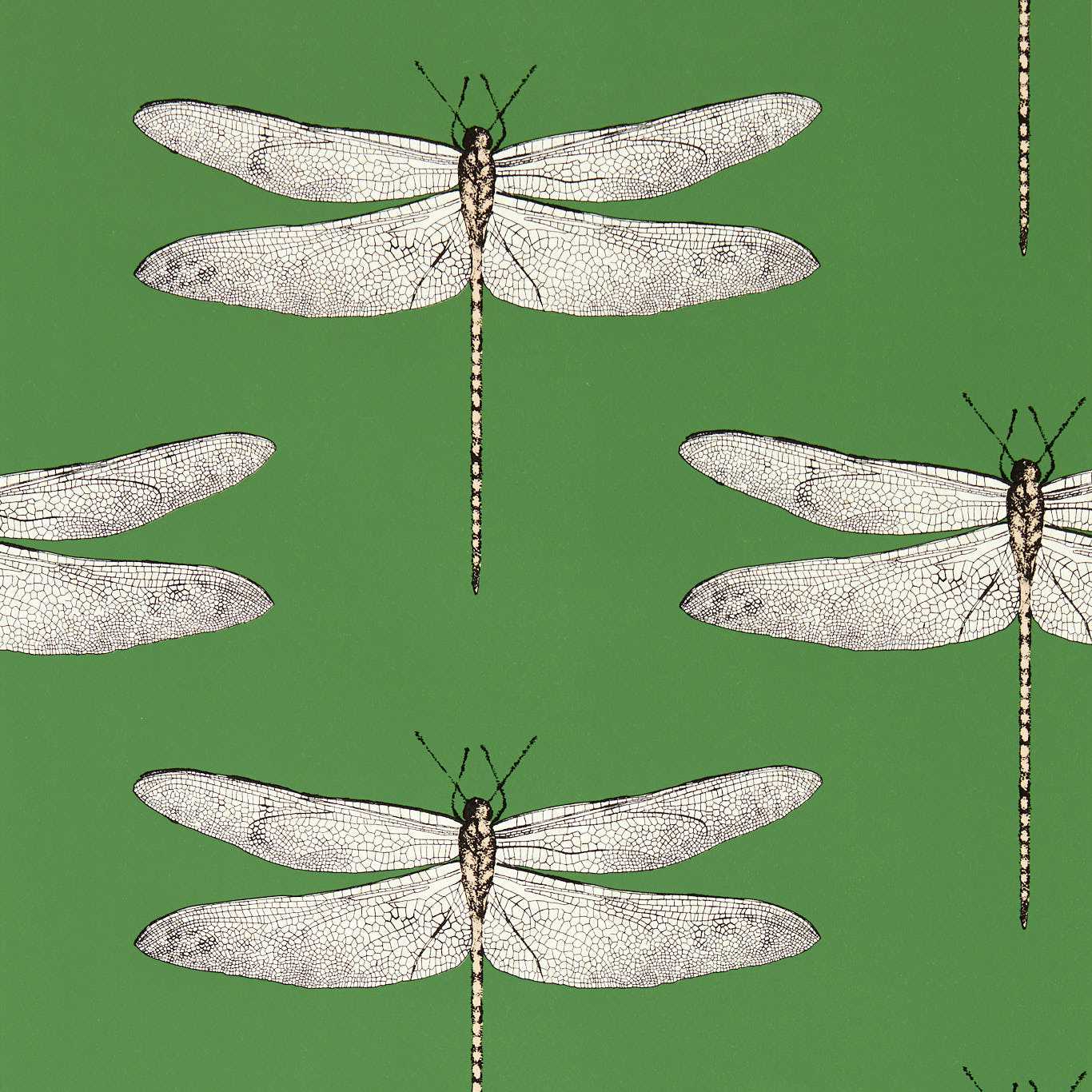 Demoiselle Wallpaper - Kelly/First Light/Blush - HRTW113143 - Harlequin