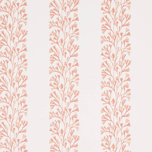 Dita Wallpaper - Coral - J196W-02 - Jane Churchill