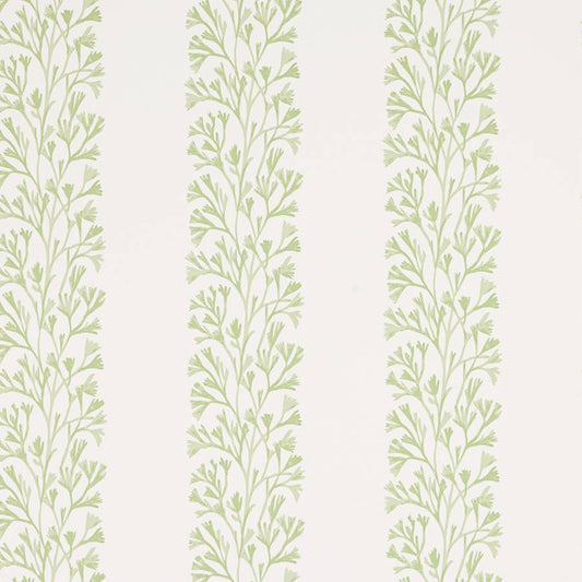Dita Wallpaper - Green - J196W-03 - Jane Churchill
